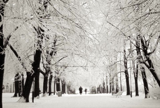 Alley in Planty Park